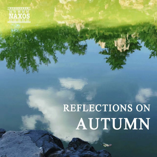 久久精品三级视频
